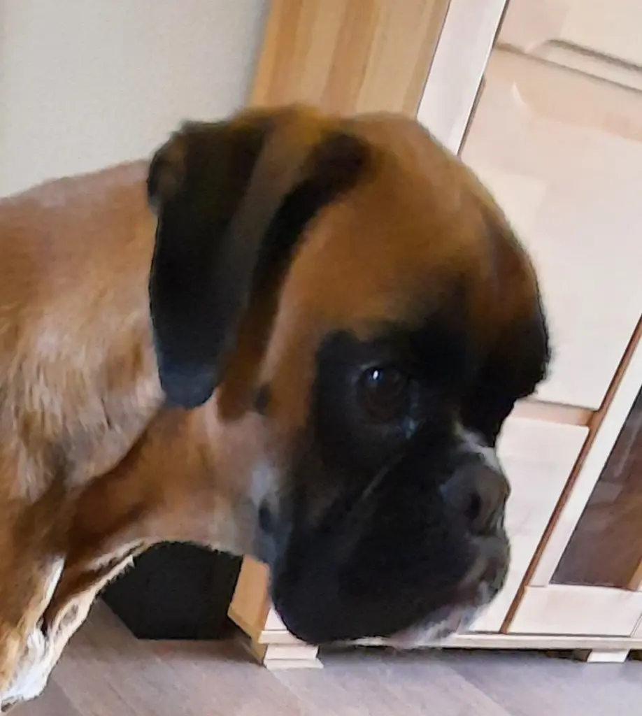 Condolence image of Antje