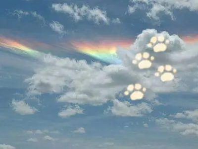 Condolence image of Mario