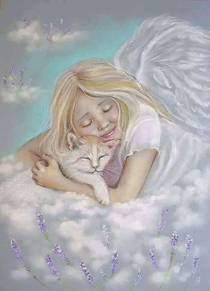 Condolence image of Tamara