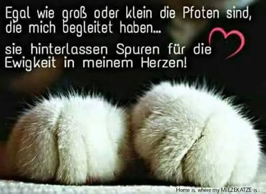 Condolence image of Ich bins