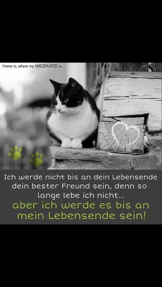 Condolence image of Unbekannt