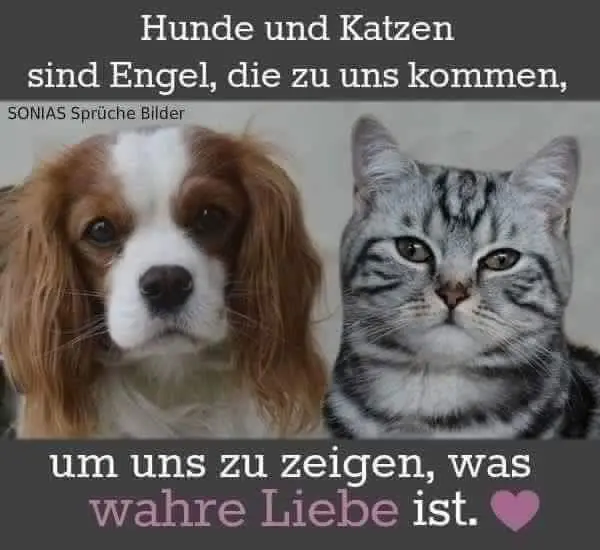 Condolence image of Jurgen