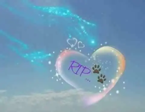 Condolence image of Berta