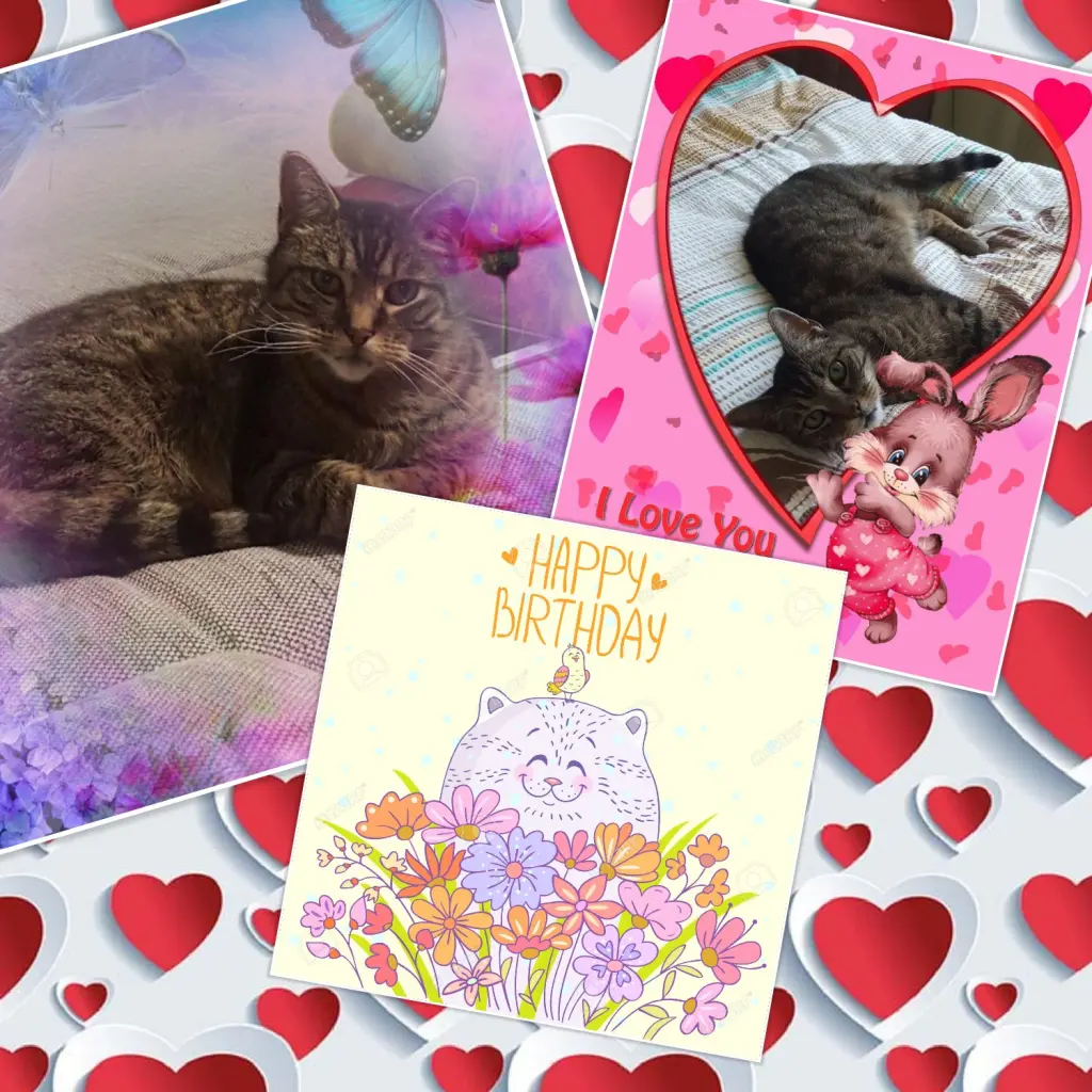 Condolence image of Linda 