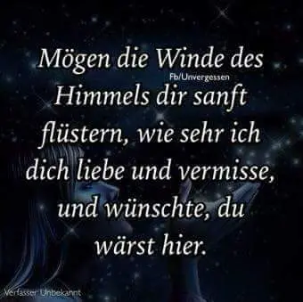 Condolence image of Frauchen