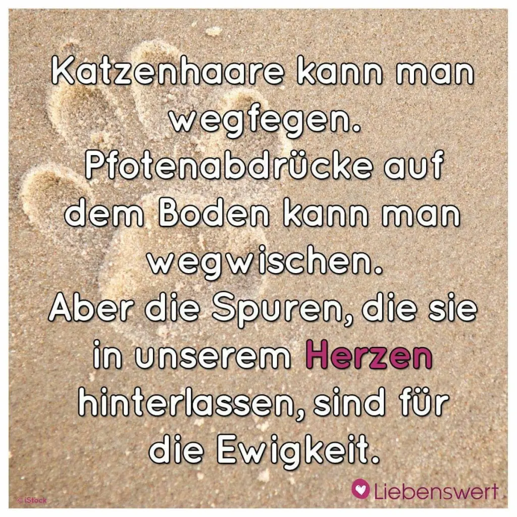 Condolence image of Andreas