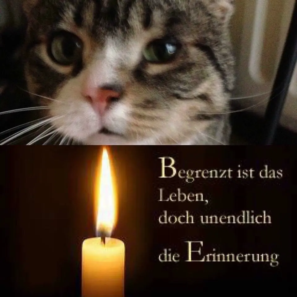 Condolence image of Natascha 