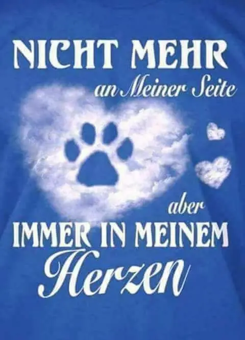 Condolence image of Hanna