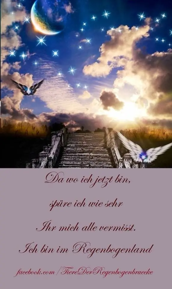 Condolence image of Silke