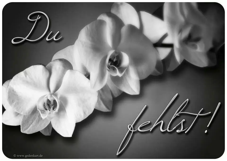 Condolence image of Olga