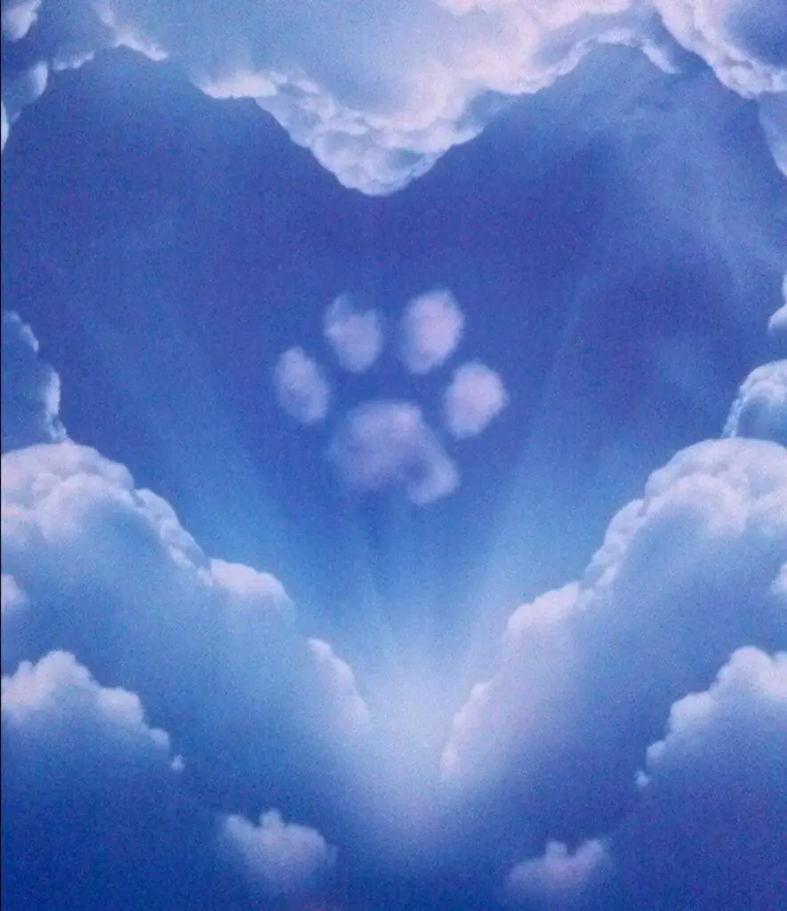 Condolence image of Helga/Heinz Wetke