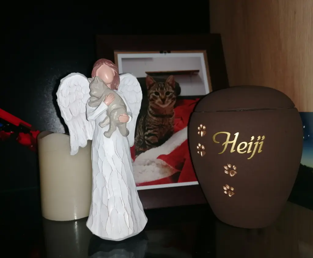 Image from Heiji