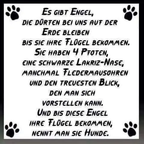 Image from Joschi