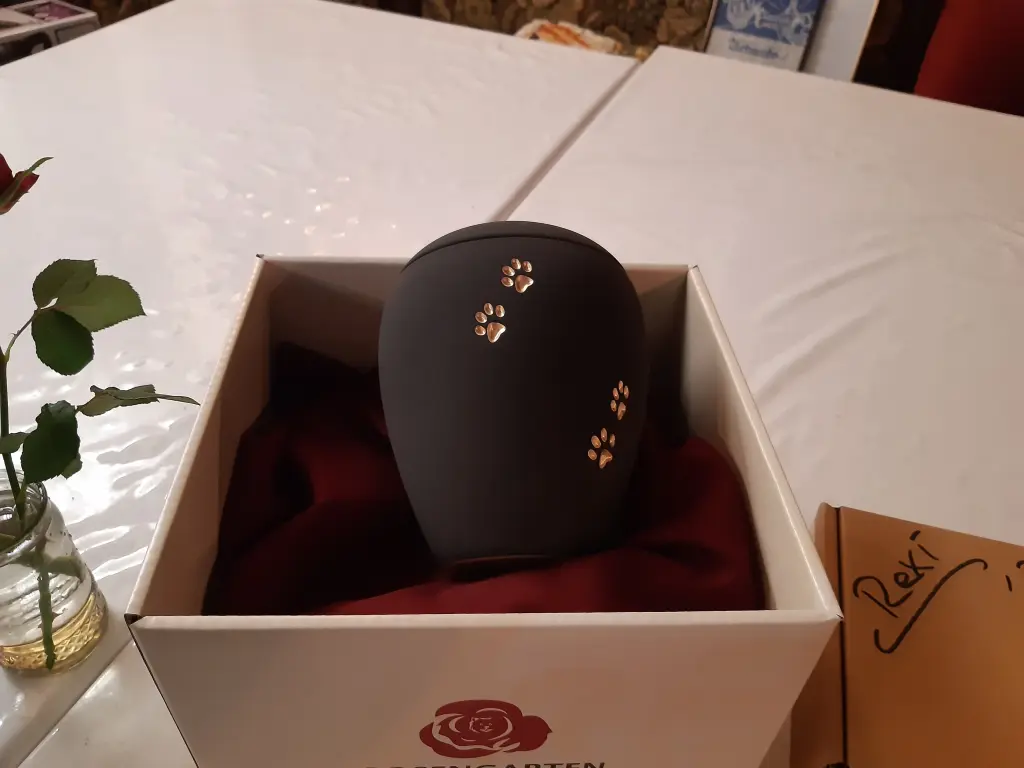 Image from Rexi