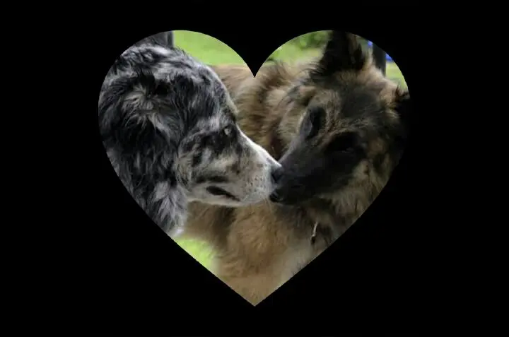 Condolence image of Melanie