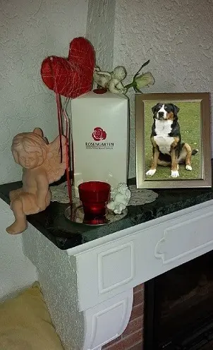 Condolence image of Petra und Ernst