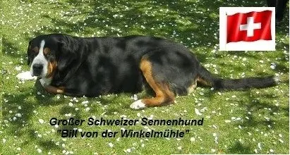 Condolence image of Petra und Ernst