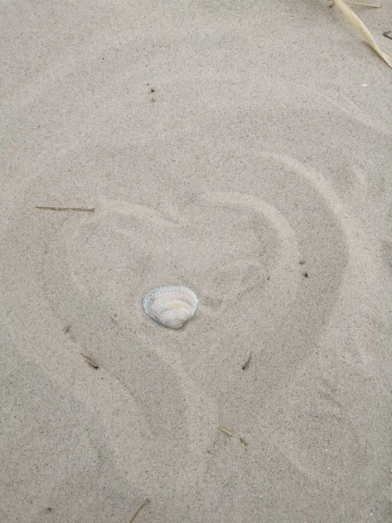 Condolence image of Candy