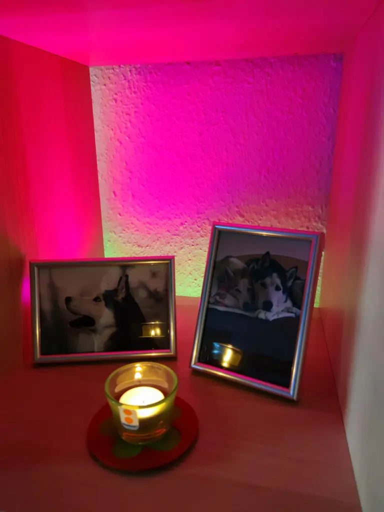 Condolence image of Julia