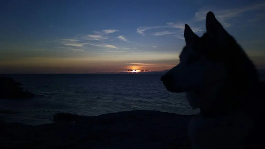 Condolence image of Candy