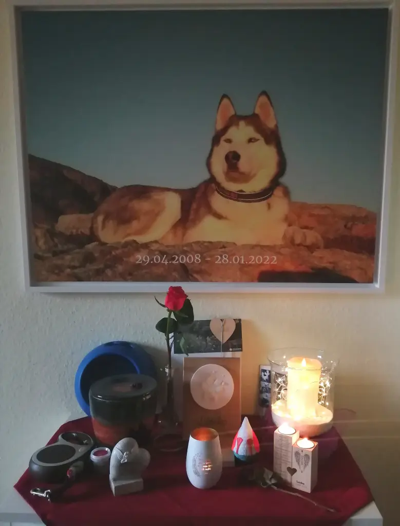 Condolence image of Candy