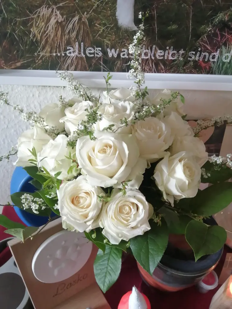 Condolence image of Candy