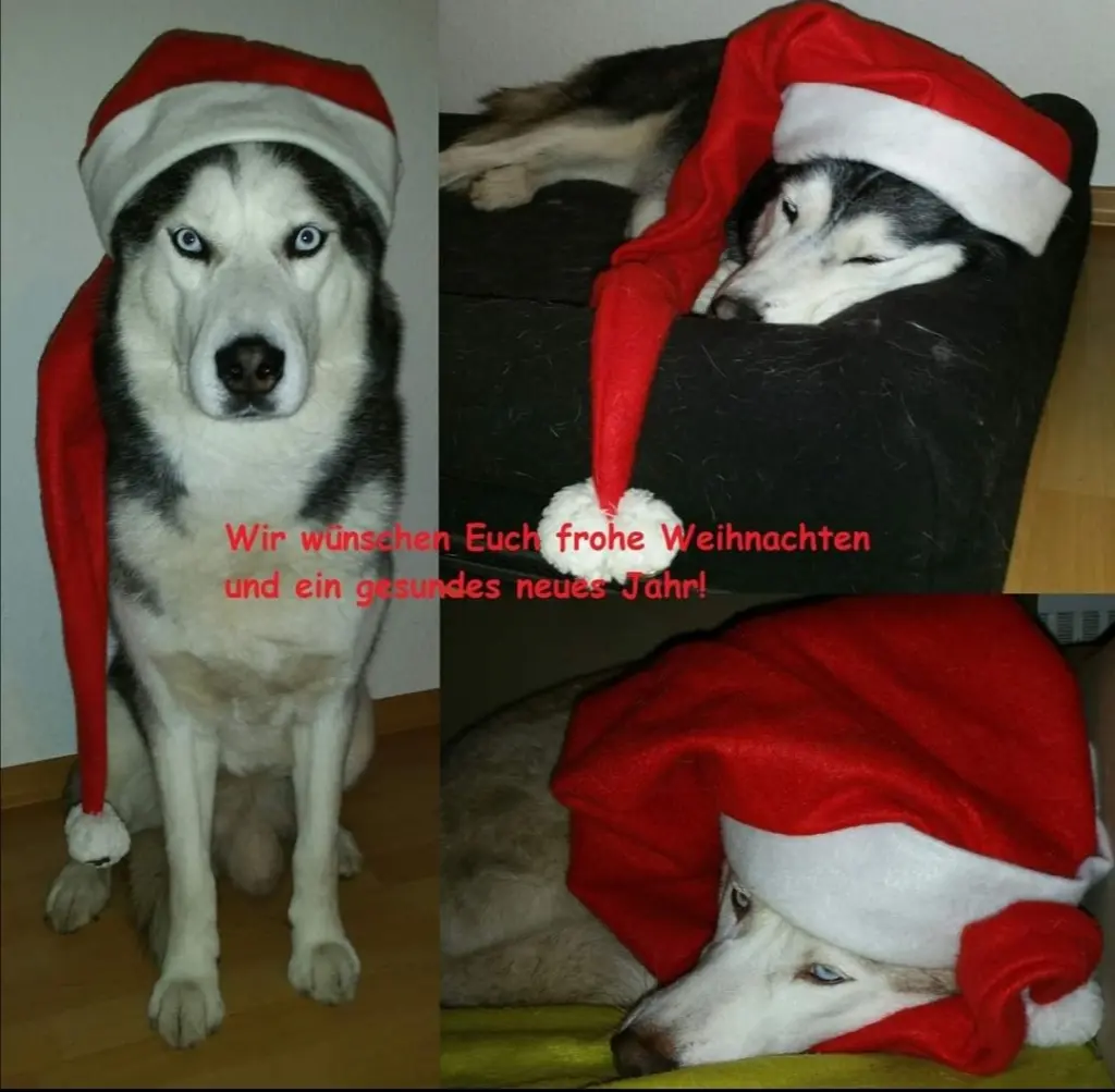 Condolence image of Candy
