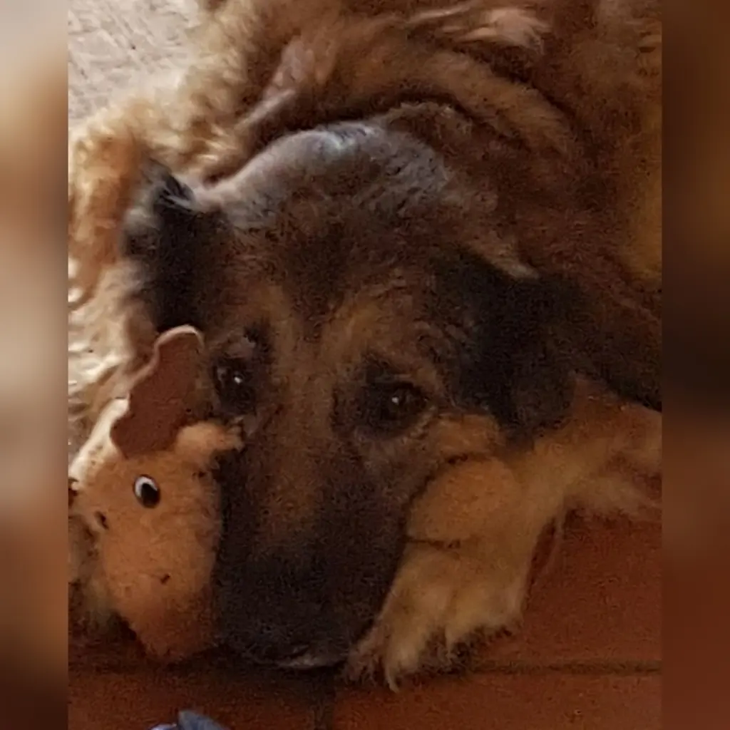 Condolence image of Anja