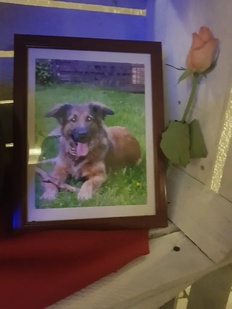 Condolence image of Daniela