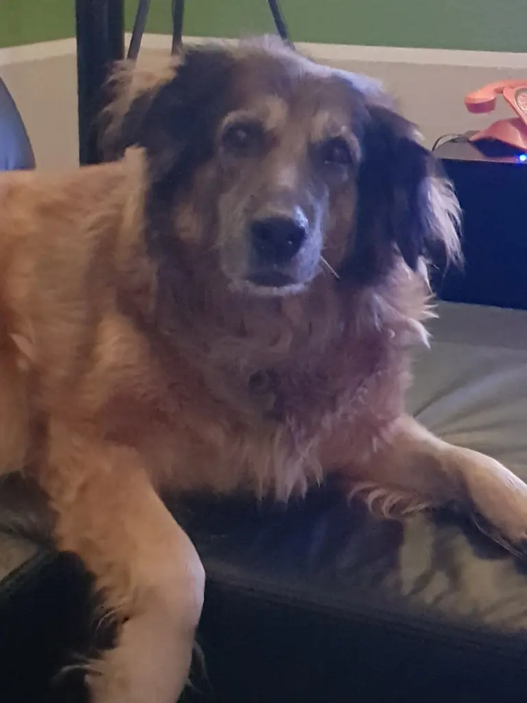 Condolence image of Mama