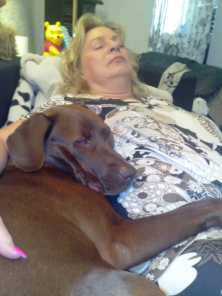 Image from Emil