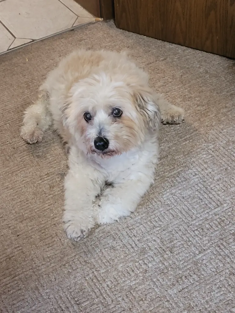 Condolence image of Ralf