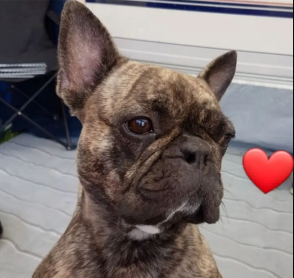 Condolence image of Heidi