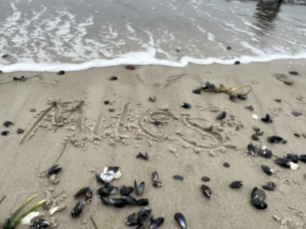 Image from Miles