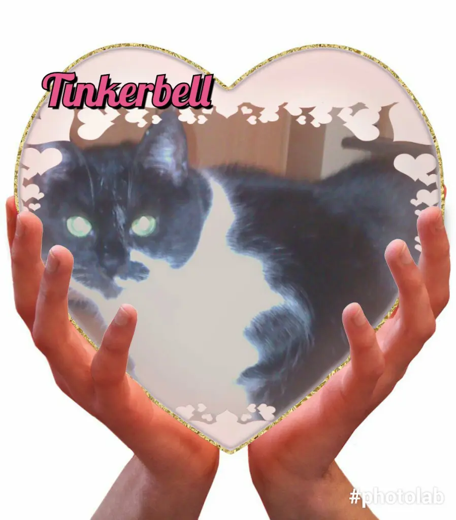 Condolence image of Jessy