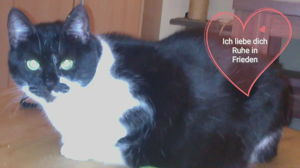 Image from Tinka