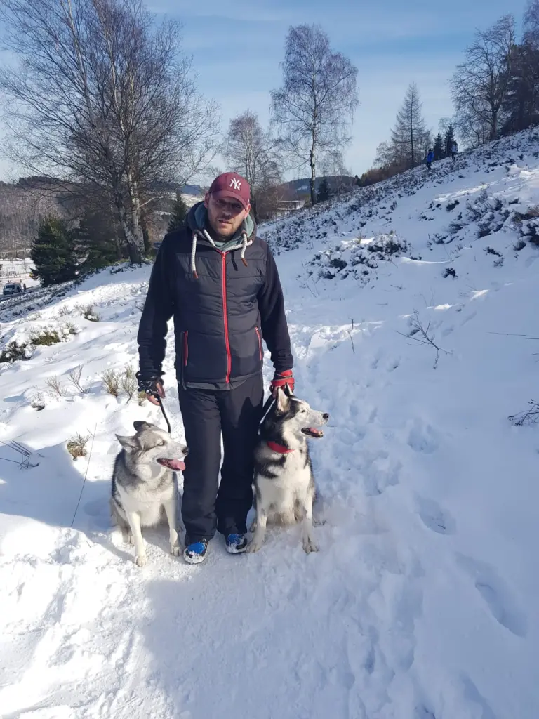 Condolence image of Dog Rescue Hungary Daniel, Iska, Rocky