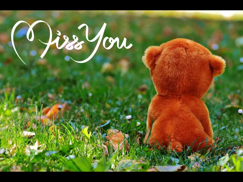 Condolence image of Yohann