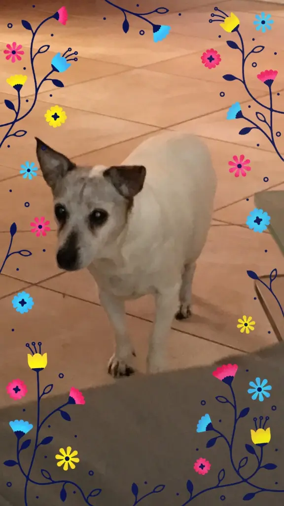 Condolence image of Sonja