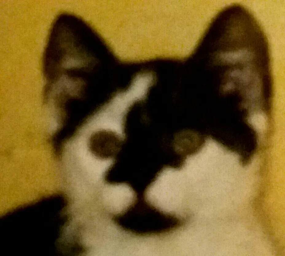 Andachtsbild von Annemarie und Elke mit Snoopy im Herzen gest 04.01.2022