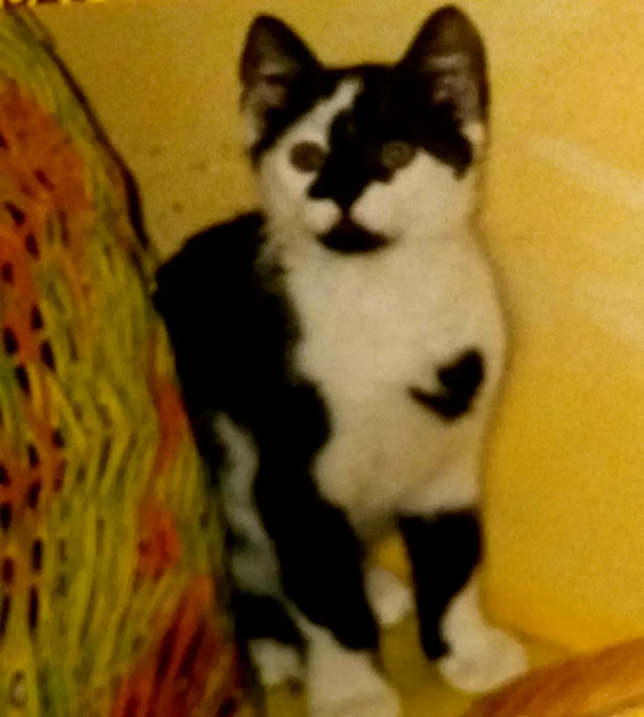 Andachtsbild von Annemarie und Elke mit Snoopy im Herzen gest 04.01.2022