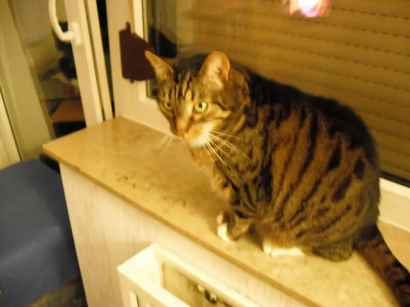 Andachtsbild von Karin und Benni, gest. 24.03.2021