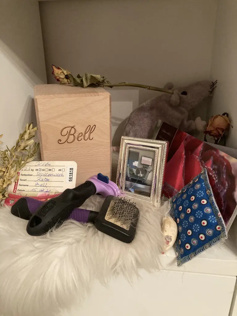 Image from Bell