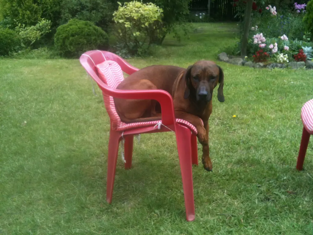 Condolence image of Maggie