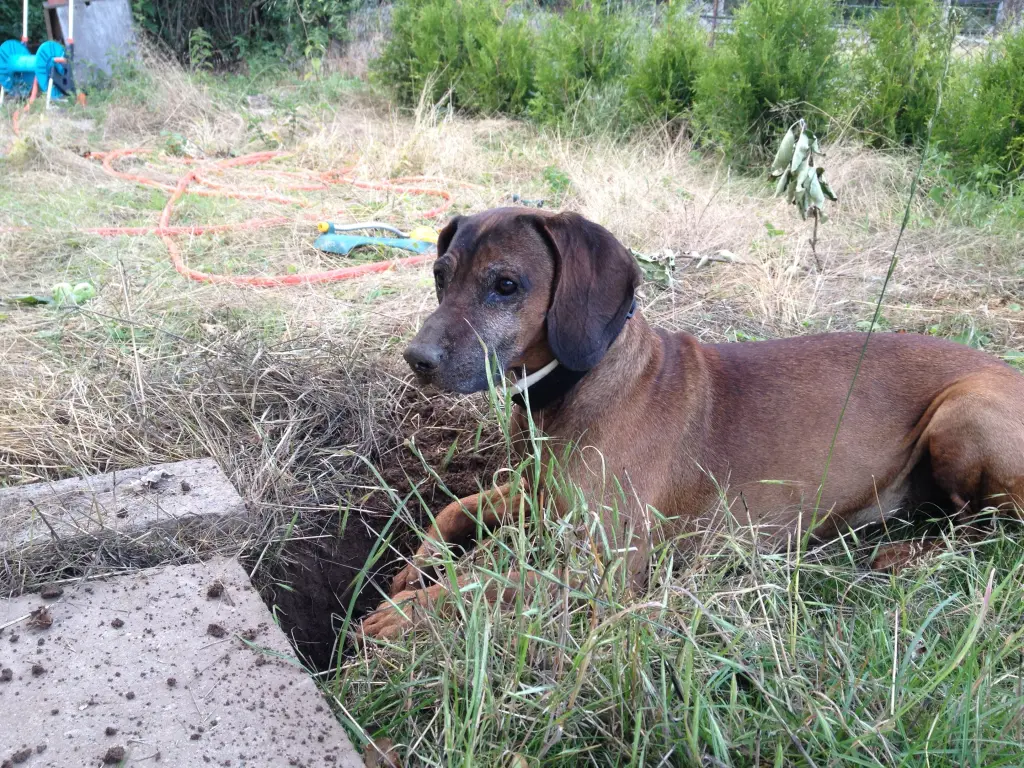 Condolence image of Maggie