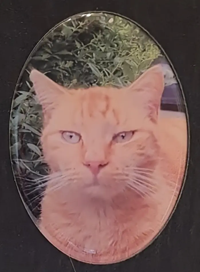 Condolence image of Petra 