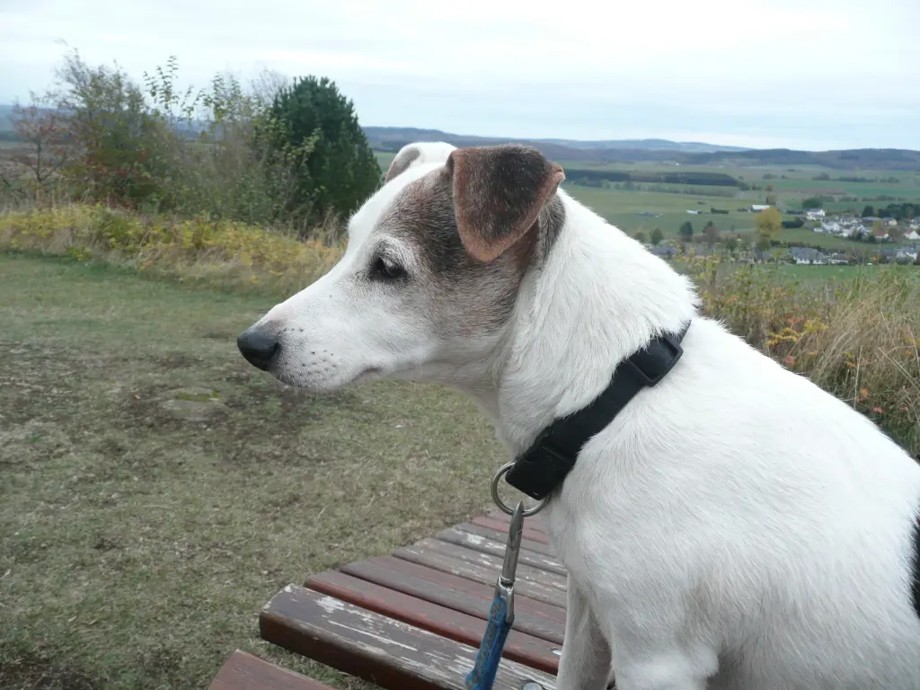 Image from Albert