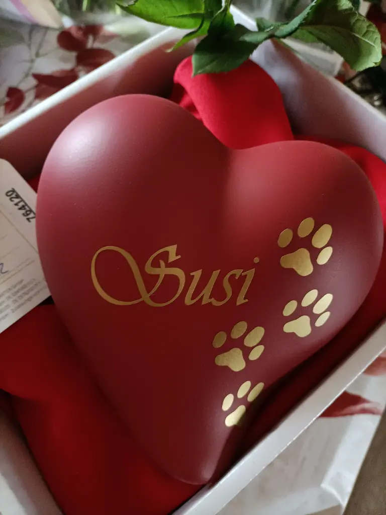 Condolence image of Michael+Dorothea mit Susi ++24.01.2022