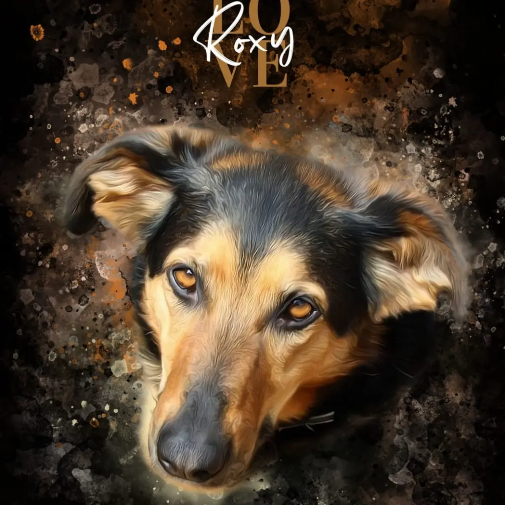 Image from Roxy