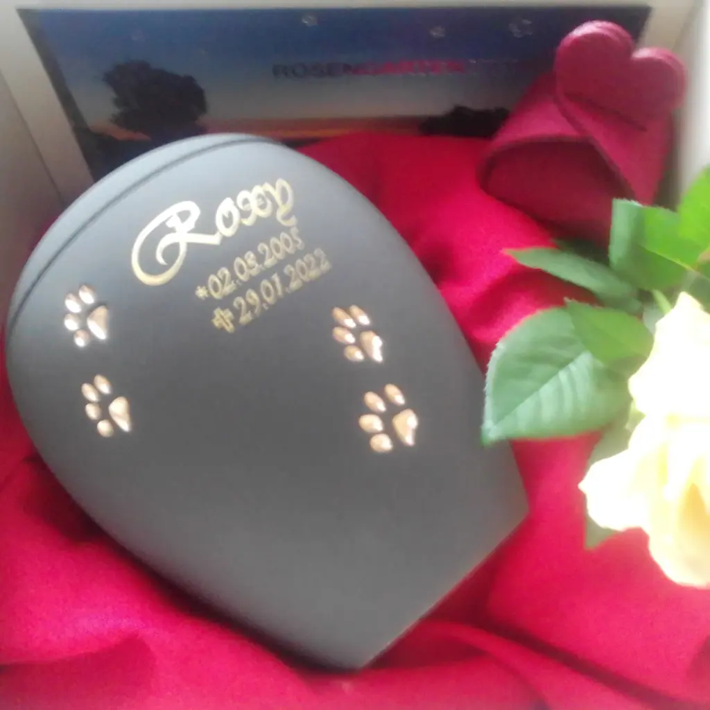 Image from Roxy